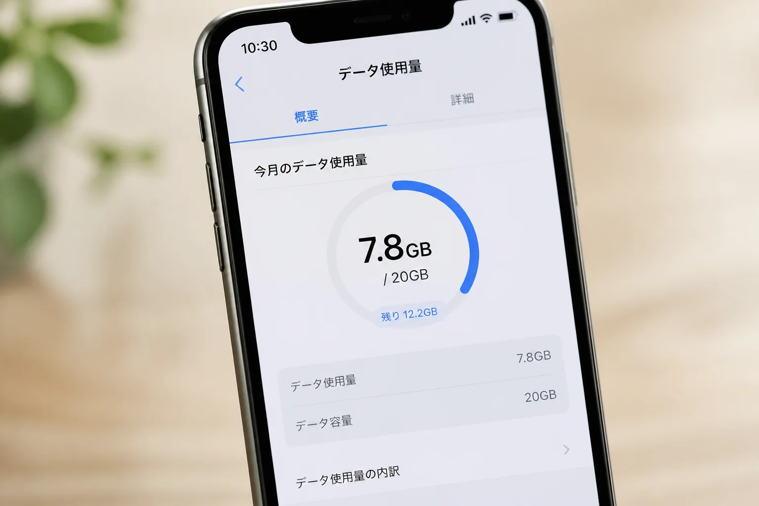 月間データ使用量の確認画面