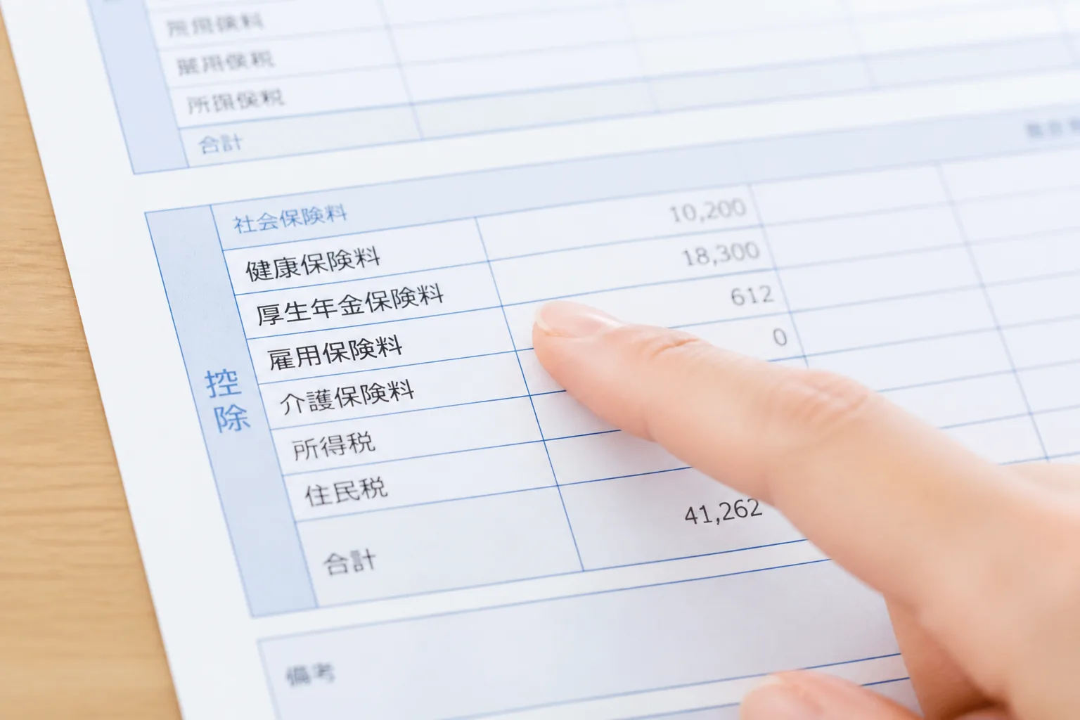 給与明細の社会保険料欄の確認
