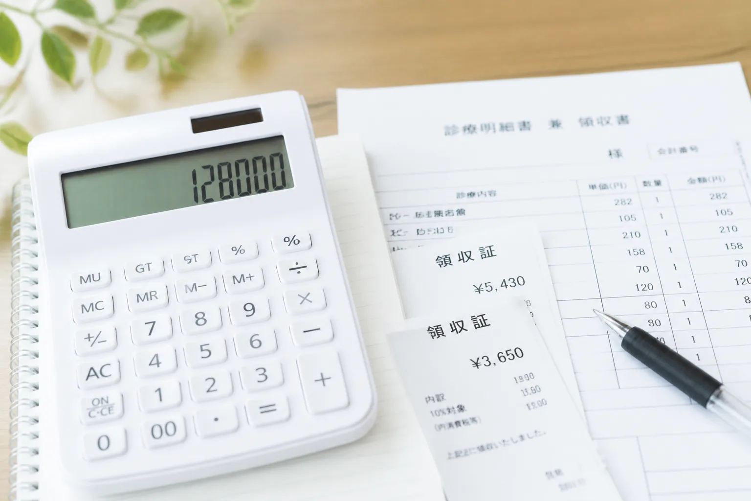 年間医療費の試算イメージ