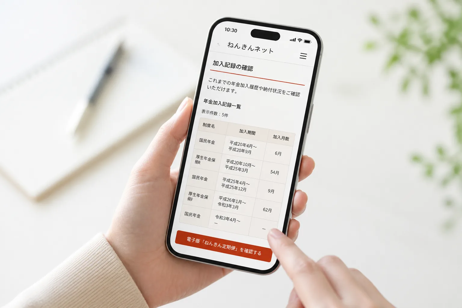 年金記録のチェック画面イメージ