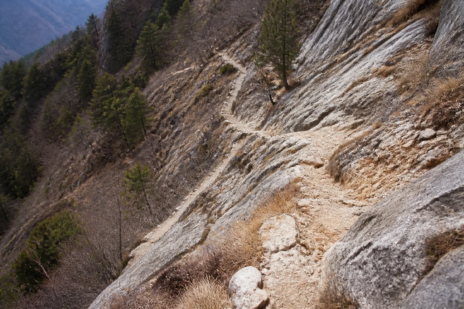 雉岳山の急斜面登山道